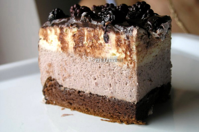 Tort cu mousse de fructe si ciocolata alba