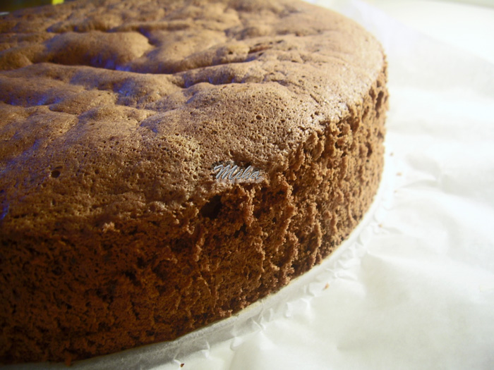 Blat de tort