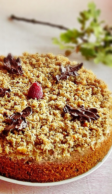 Tort cu mousse de ciocolata si zmeura