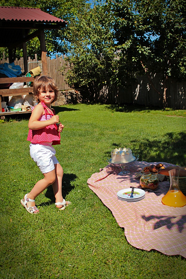 la picnic cu sunfood