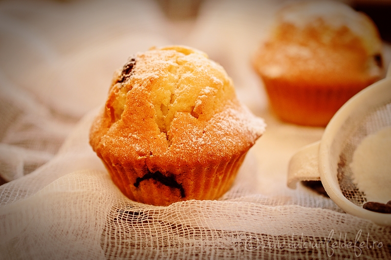 Muffins cu ciocolata