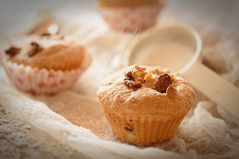 Muffins cu nuca de cocos si ciocolata