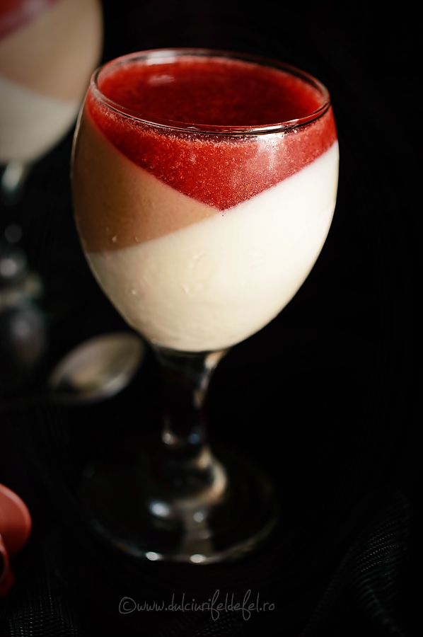 panna-cotta-cu-ciocolata-si-sos-de-capsuni-1