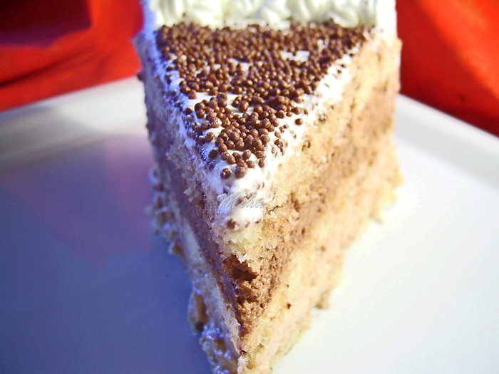 Tort cu ciocolata si frisca